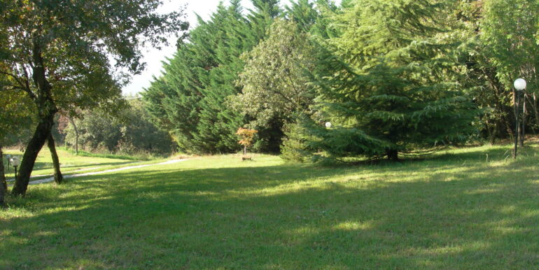 DSCN3501 (2018_06_11 14_23_48 UTC)